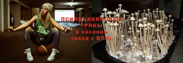 ПСИЛОЦИБИНОВЫЕ ГРИБЫ Алексин