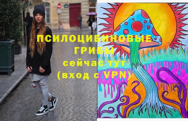 ПСИЛОЦИБИНОВЫЕ ГРИБЫ Алексин