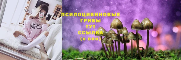 мет Алзамай